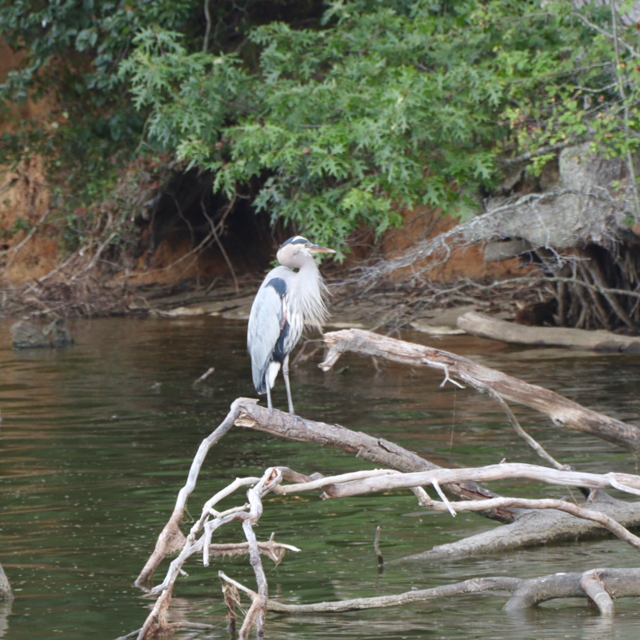 Adventures on the Eastern Shore