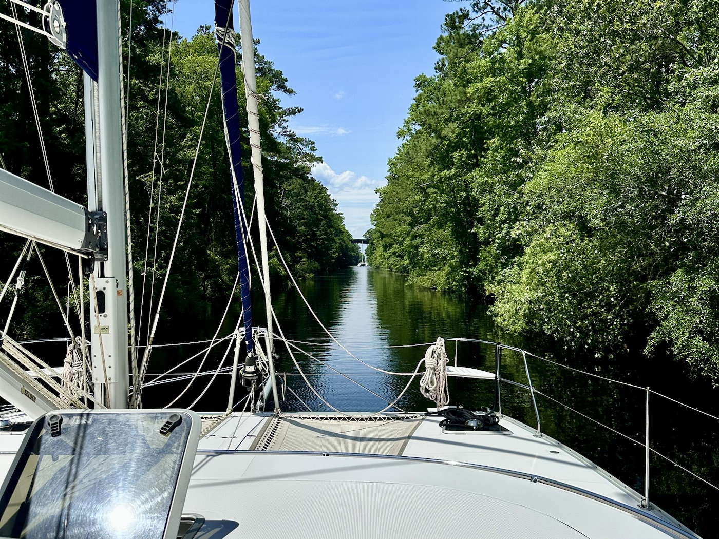 The Great Dismal Swamp