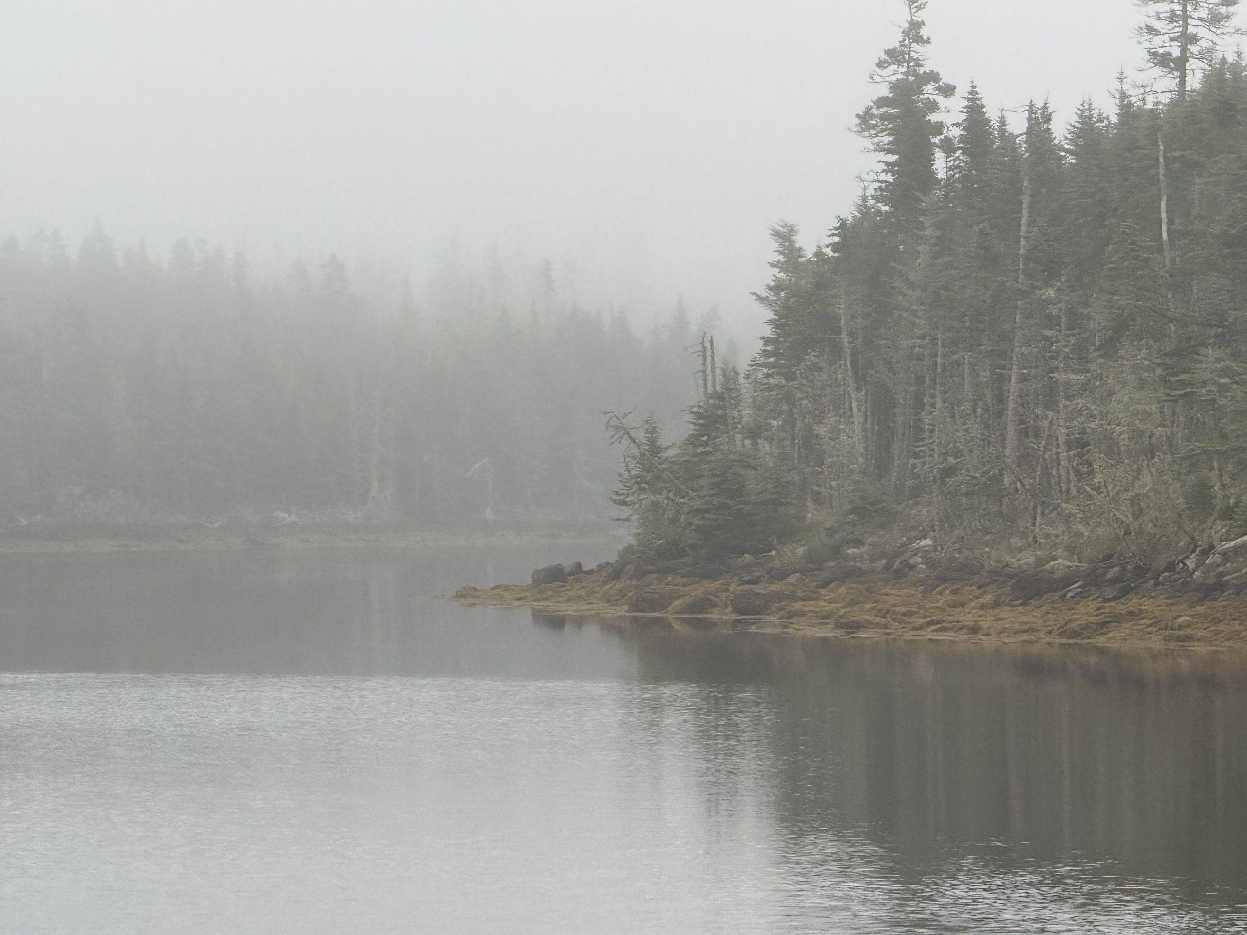 Meandering back to Halifax