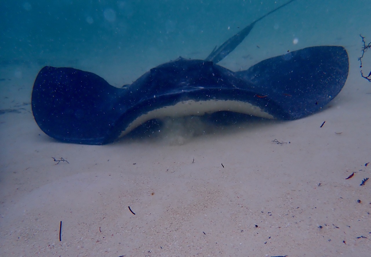 Working South in the Abacos