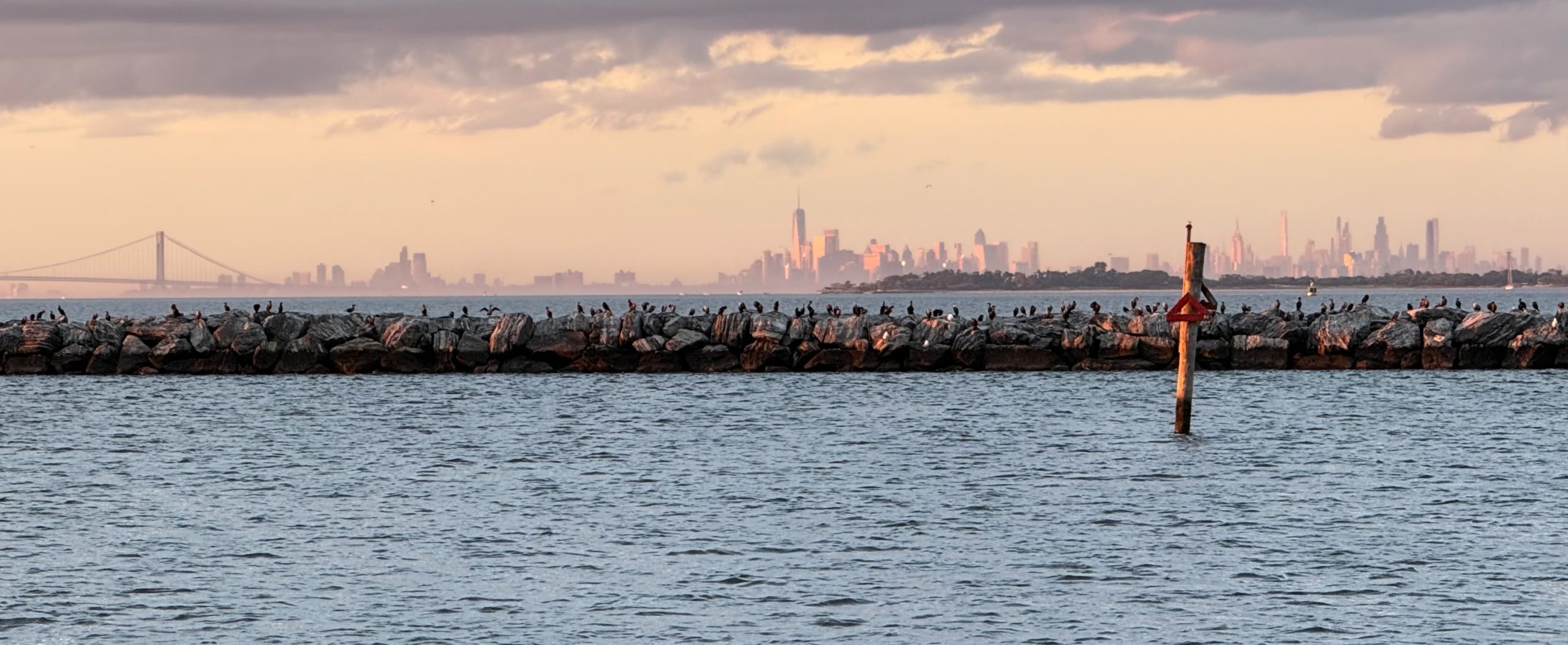 From the Narragansett to the Chesapeake